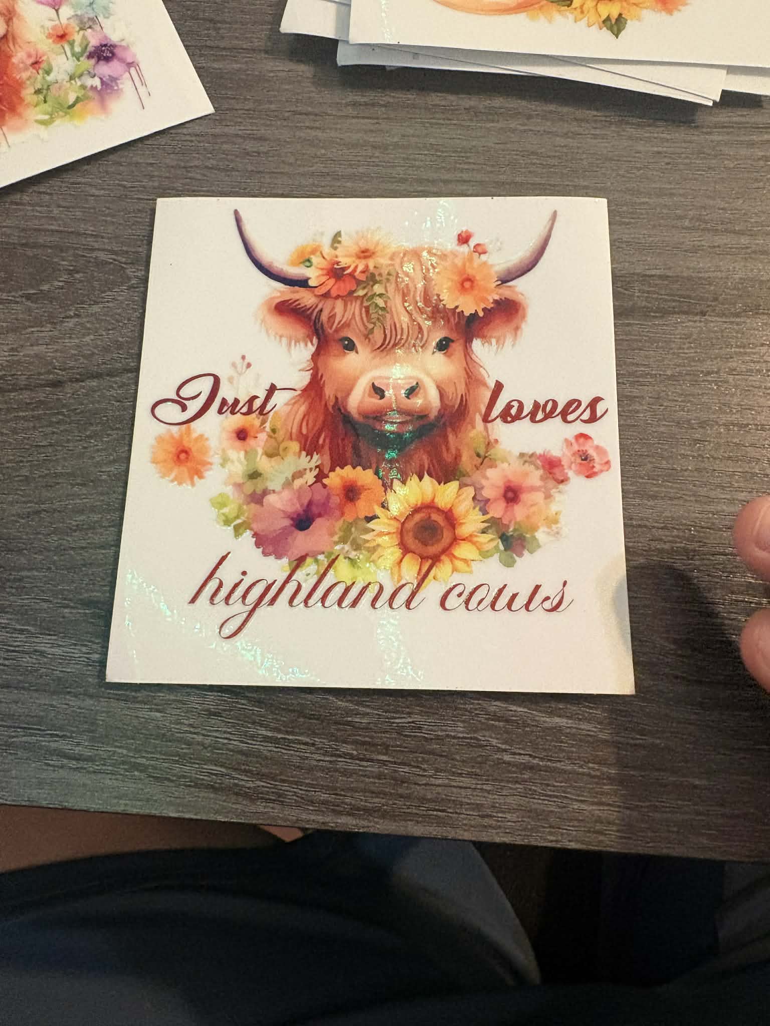 Just Loves Highland Cows