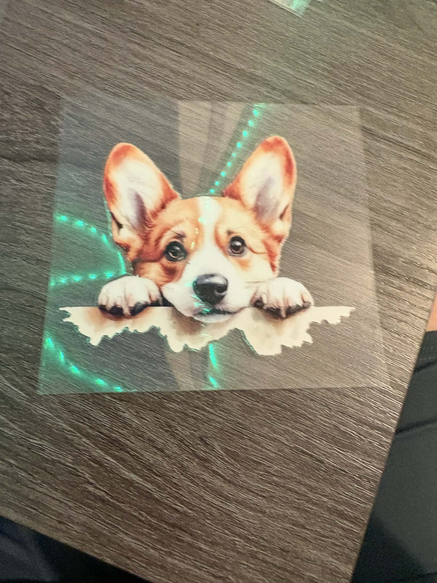 Corgi