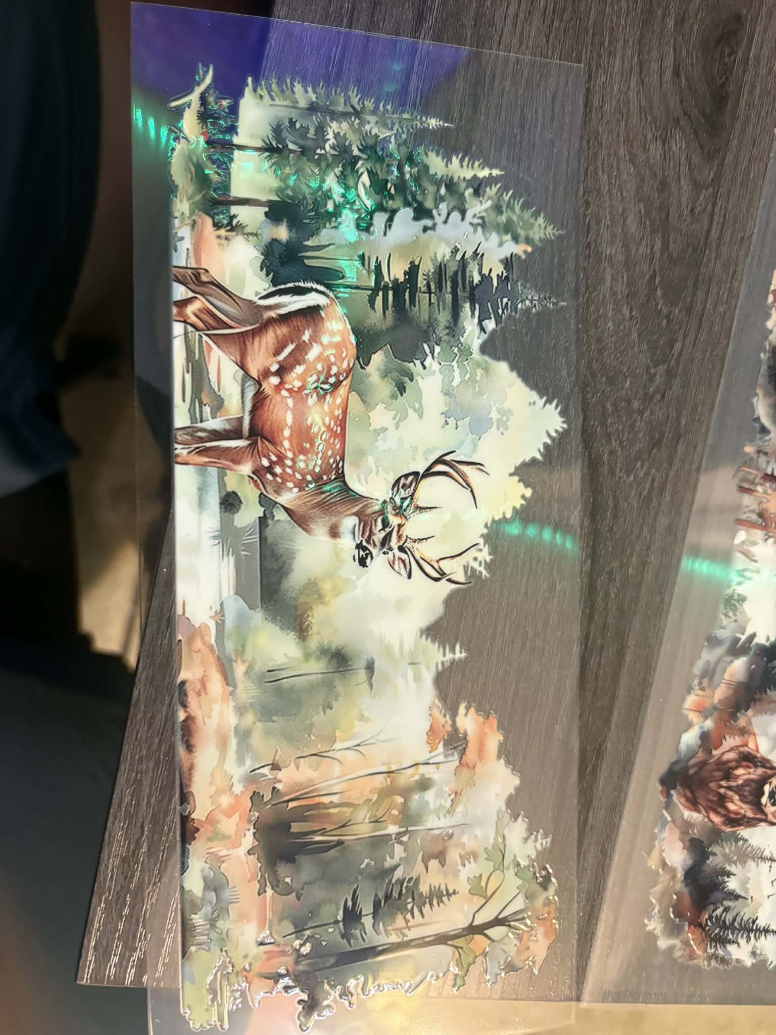 Spotted Deer