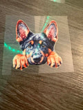 Belgian Malinois
