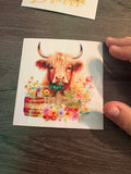 Highland Cow