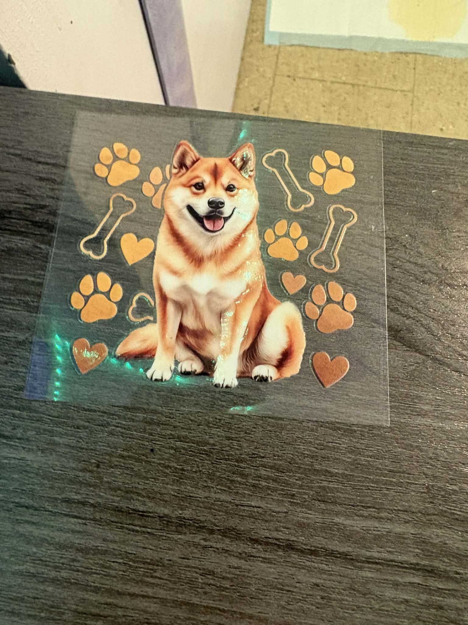 Shiba Dog