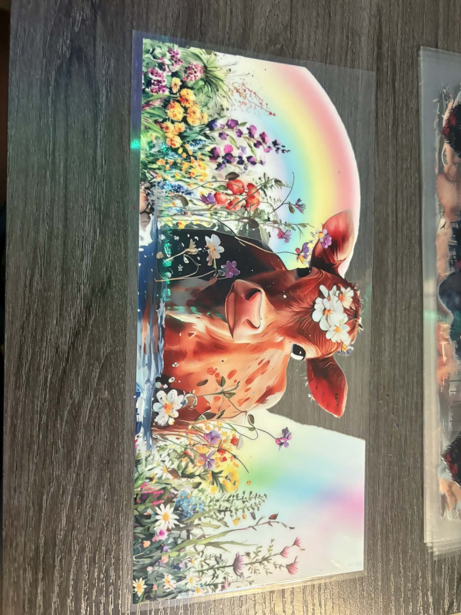Rainbow Cow