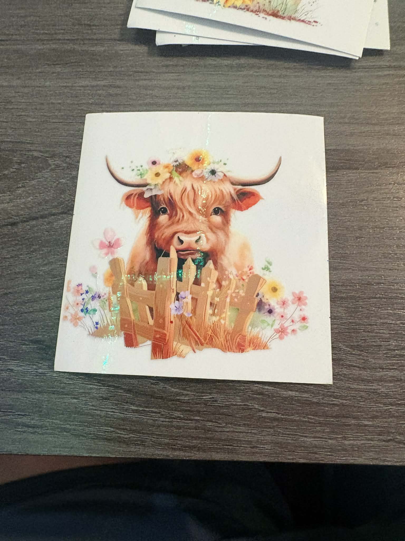 Cow with Fence